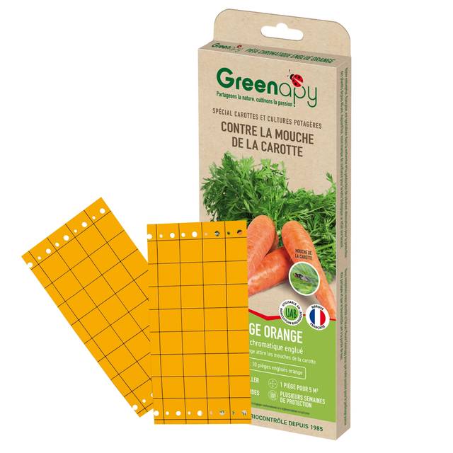 Pièges mouche de la carotte, plaques chromatiques engluées oranges (10 Plaques de 25x10cm)